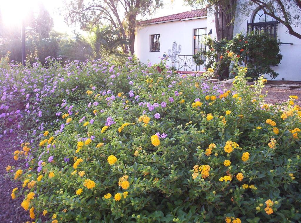 Sam Hughes Inn B&B Тусон Экстерьер фото